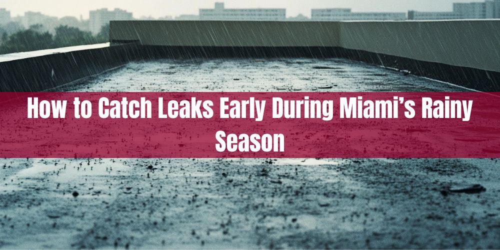 blog/how-to-catch-leaks-early-during-miamis-rainy-season.jpg